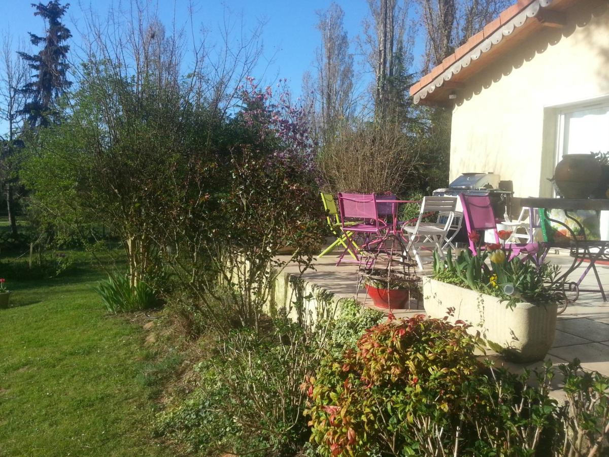 Asinus 32 Bed & Breakfast Viozan Exterior foto