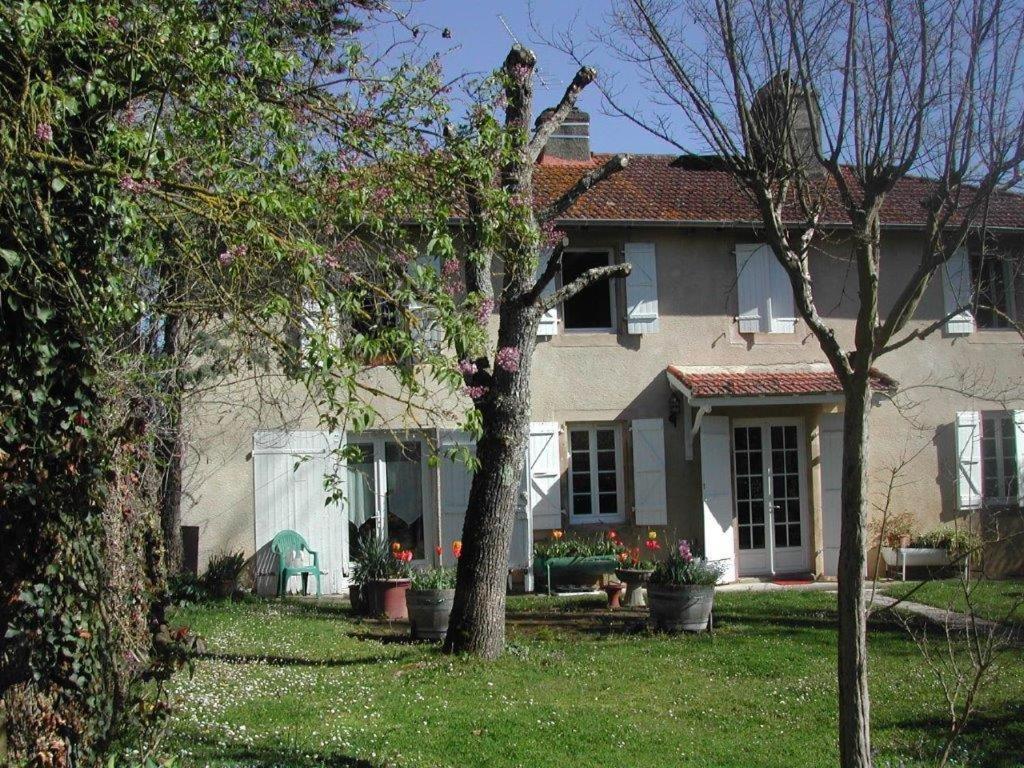 Asinus 32 Bed & Breakfast Viozan Exterior foto