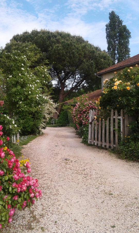 Asinus 32 Bed & Breakfast Viozan Exterior foto