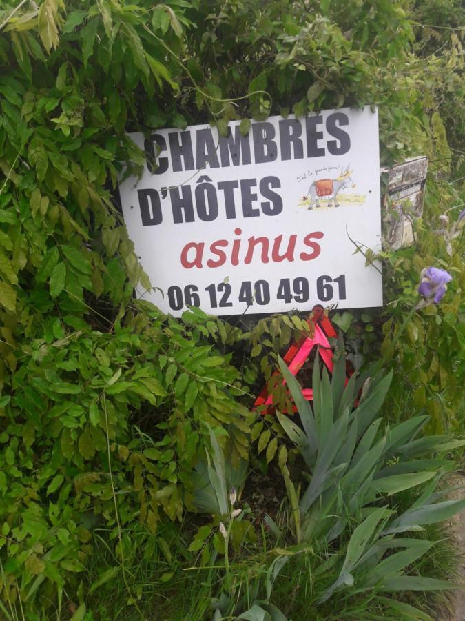 Asinus 32 Bed & Breakfast Viozan Exterior foto