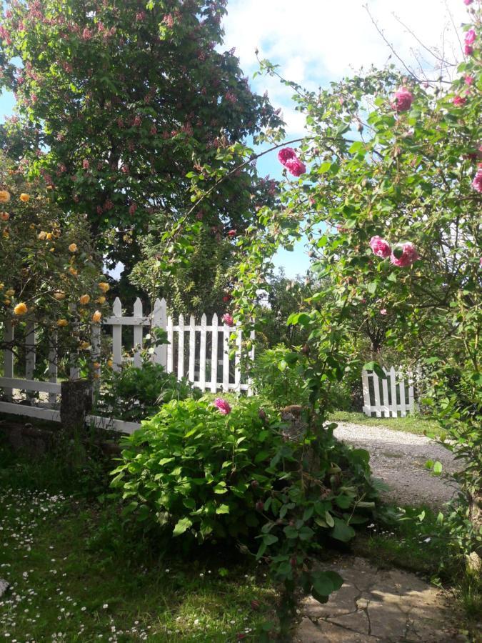Asinus 32 Bed & Breakfast Viozan Exterior foto